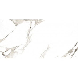 Carrara Matt 60x120