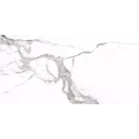 Carrara Rect матовая 60x120