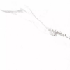 Carrara Rect матовая 60x60