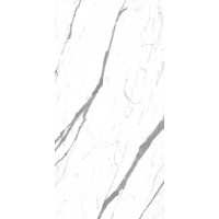 Carrara Smart Glossy 60x120