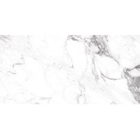 Carrara Smoke PGVT 60x120