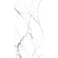 Carrara Terrific Silver Белый Матовый 60х120