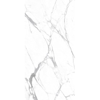 Carrara Terrific Silver Белый Матовый 60х120