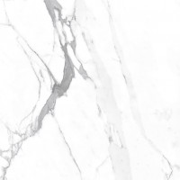 Carrara Terrific Silver Белый Матовый 60х60