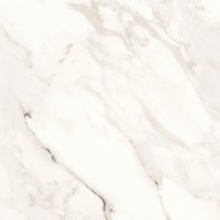 Carrara White Glossy 60x60