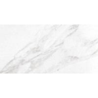Carrara White Shine 30x60