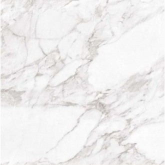 Carrara White Shine 60x60