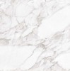 Carrara White Shine 60x60