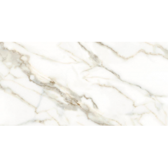 Carrara white 60x120