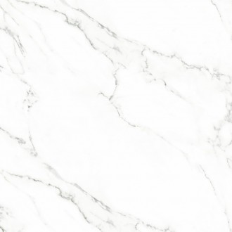Carrara white 60x60