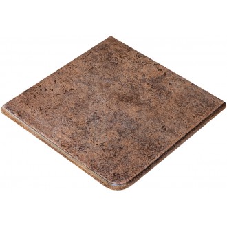 Cart.METALICA PURPLE R9 33x33