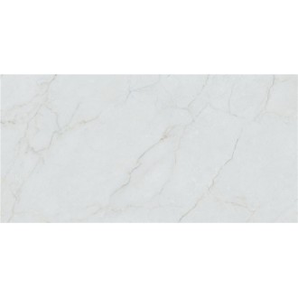 Caryn Bianco Pul Rect 60x120