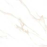 Cassini carrara PGVT 60x60