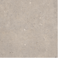 Cement Stone Greige Lapp RC 60x60