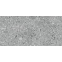 Ceppo di Gre Gris Sand 60x120