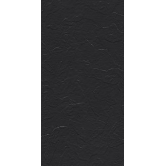 Charcoal Black Stone 60x120