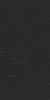 Charcoal Black Stone 60x120