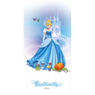 Cinderella 30*60