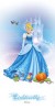 Cinderella 30*60
