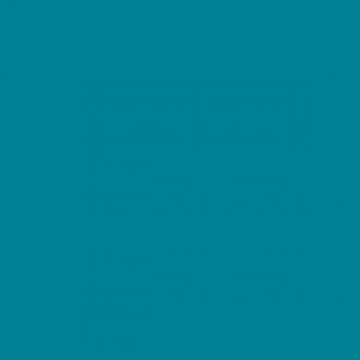 Citta Turchese MJ0T 20*20