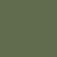 City Style зеленый G-116/P 60x60 полированный