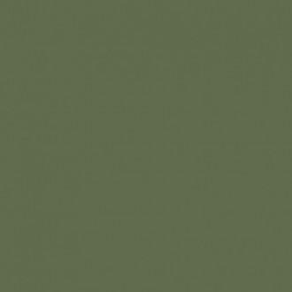 City Style зеленый G-116/P 60x60 полированный