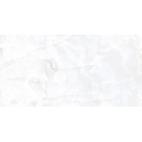 Coin White Glossy 60x120