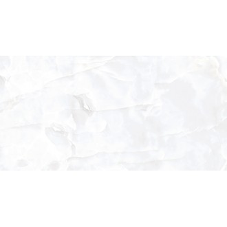 Coin White Glossy 60x120