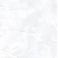 Coin White Glossy 60x60