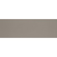 Colourline Taupe MLE2 22*66.2