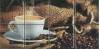 Composicion Brazil 20x40