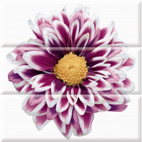 Керамическая плитка Composicion Flowers 45x45 (комплект 3шт)