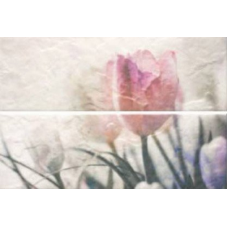 Composicion Hypnotic A 22,5х67,5