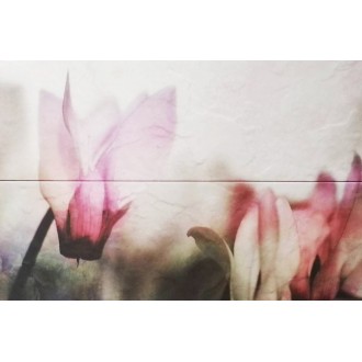 Composicion Hypnotic B 22,5х67,5