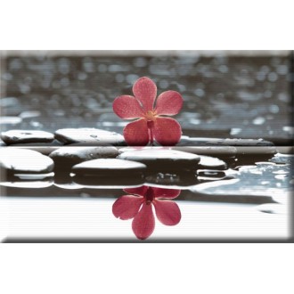Composicion Wellness 01 Red 30x45 (комплект 2шт)