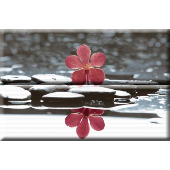 Керамическая плитка Composicion Wellness 01 Red 30x45 (комплект 2шт)