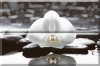 Composicion Wellness 01 White 30x45 (комплект 2шт)