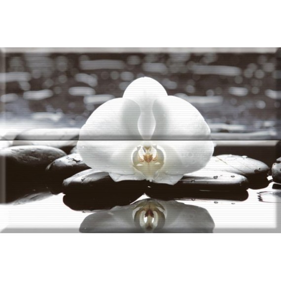 Керамическая плитка Composicion Wellness 01 White 30x45 (комплект 2шт)