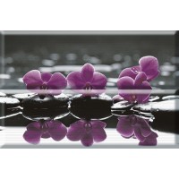 Composicion Wellness 02 Purple 30x45 (комплект 2шт)