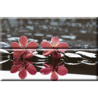 Composicion Wellness 02 Red 30x45 (комплект 2шт)