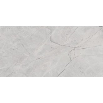 Connect Gris 60х119,5