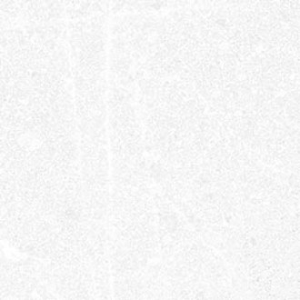 Corneille-R Blanco 15x15