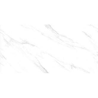 Cortina Ice Bianco Polished 60x120