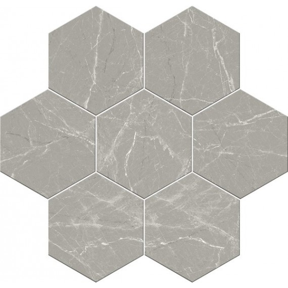  Cosmo Silver 20x24
