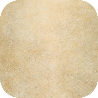 Cotto light PG 01 45х45