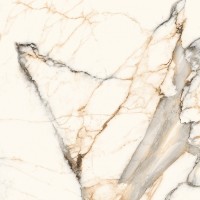Culcutta bishkek gold polished 120x120