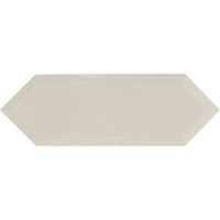 Cupidon Light Grey Brillo Bisel 10х30