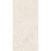 Custard Apple 60x120