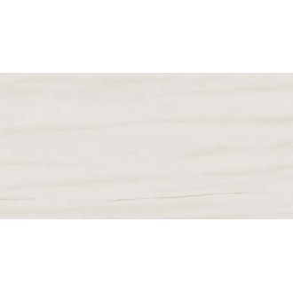 D110 (AZQX) Marvel Bianco Dolomite 30x60