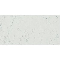 D113 Marvel Carrara Pure 30x60